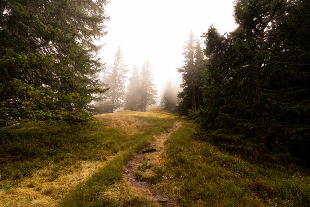 Mountain ridge trail, Johnsbach