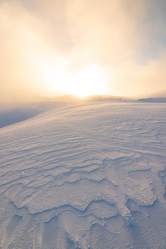 Abstract patterns, Dobratsch, Austria