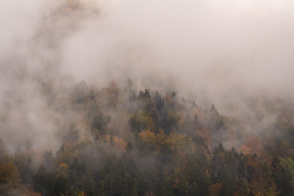 Fog hanging over the Kalkalpen mountains, Austria