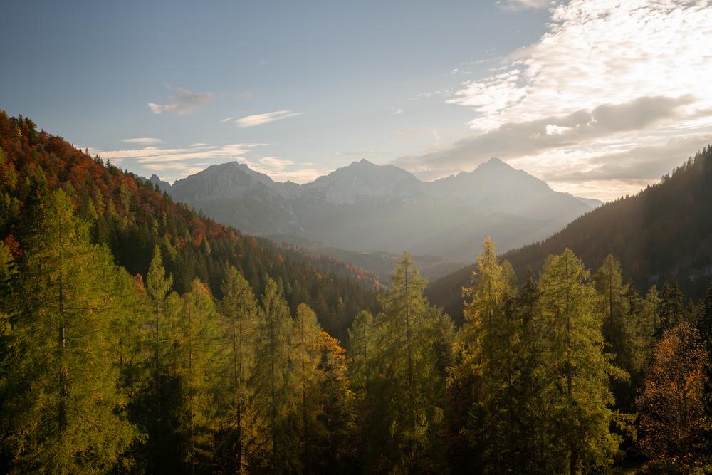 Perfect autumn scene in Kalkalpen National Park, Austria