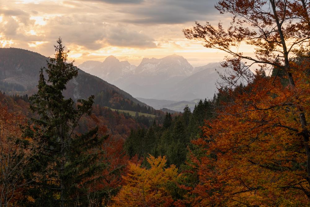 Autumn sunset in the kalkalpen, Austria