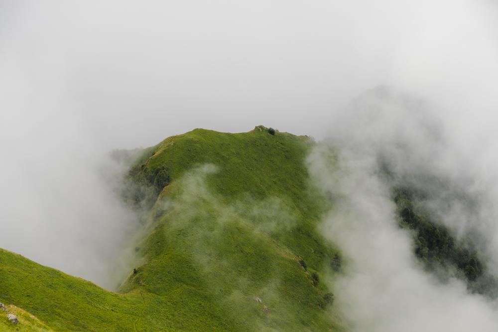 Lagodekhi National Park, Georgia