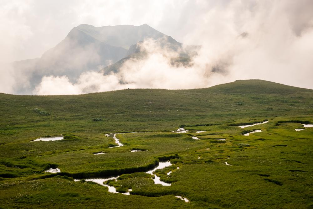 Lagodekhi National Park, Georgia