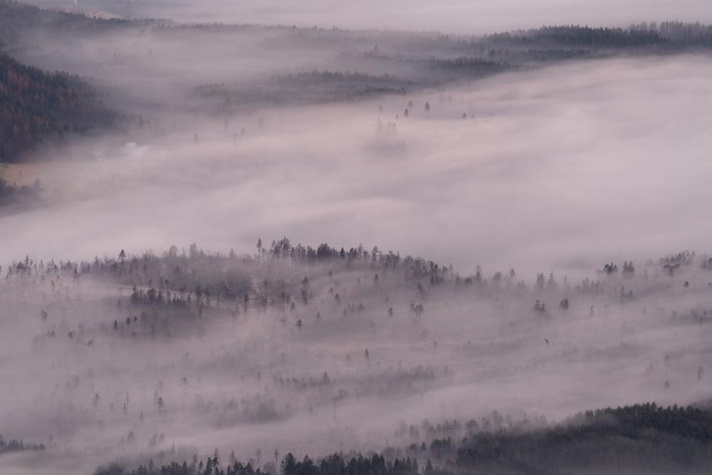 Sweeping fog, Lower Carinthia, Austria