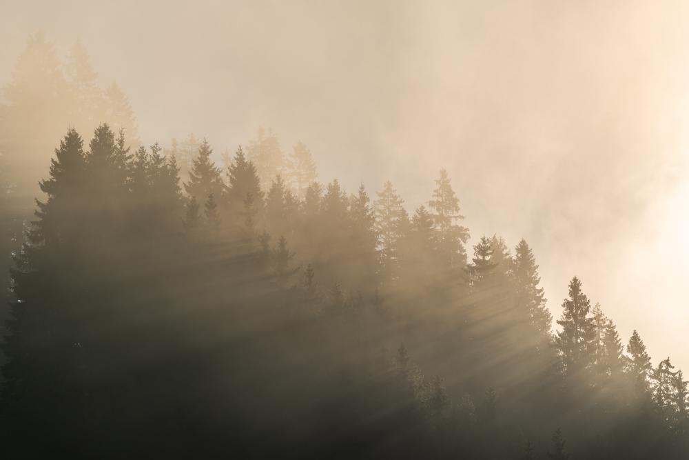Light piercing through the fog, Schladming, Austria