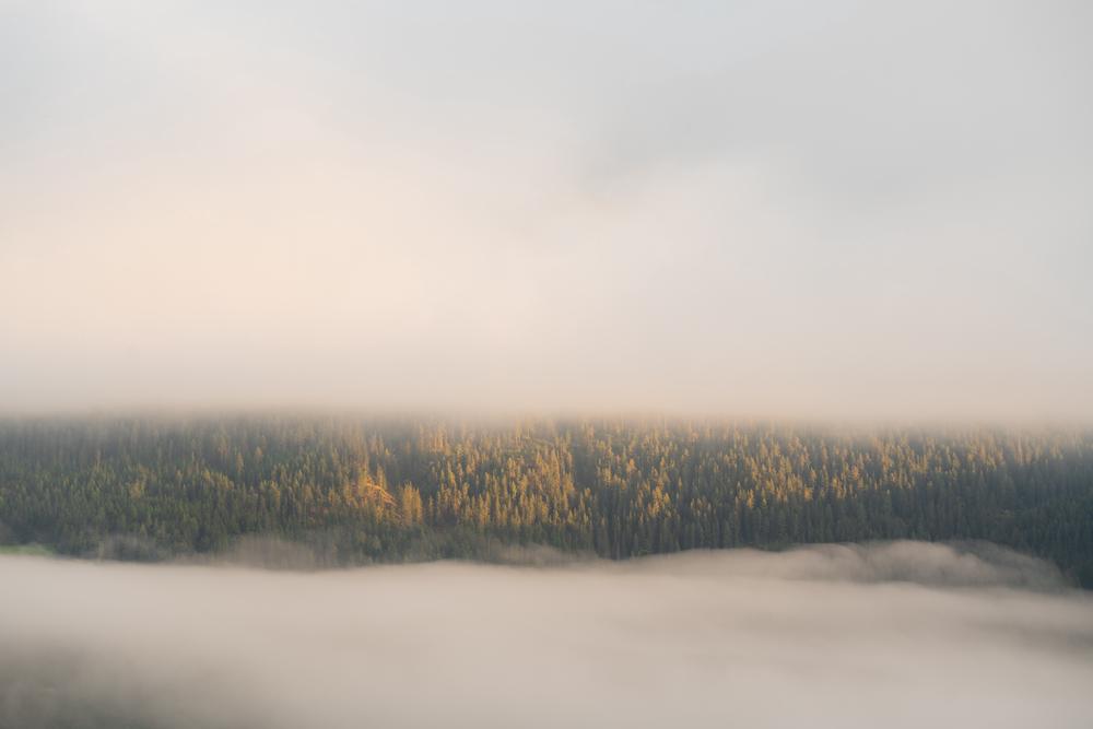 A glimpse through the fog, Schladming, Austria